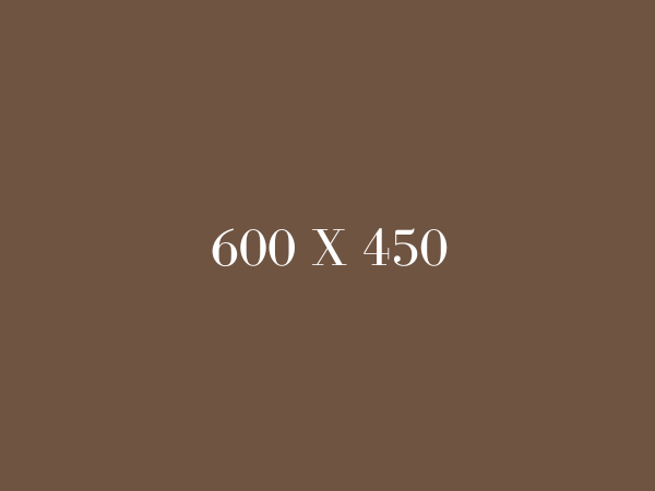 600 x 450